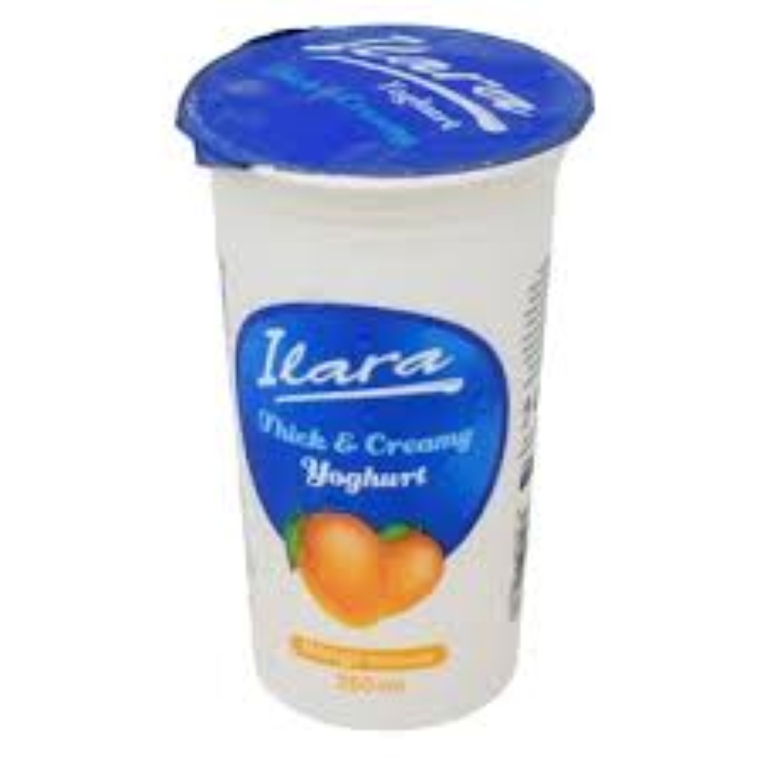 ILARA MANGO CUP YOGHURT 250ML
